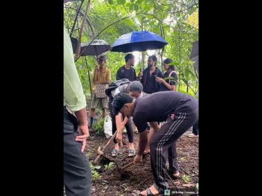 Green Initiative by MET IOP (Degree)