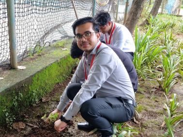 Tree Plantation Drive by MMS 2025-27