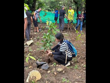 Tree Plantation Drive at Sanjay Gandhi National Park