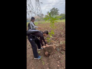 Tree Plantation Drive at Sanjay Gandhi National Park