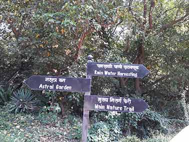 Medicinal Garden Field Visit