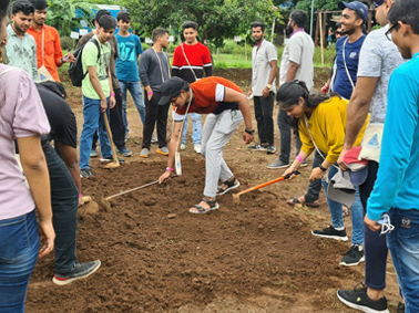 Tree Plantation Drive