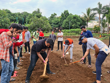 Tree Plantation Drive