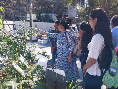 A Visit to Medicinal Plant Exhibition Show