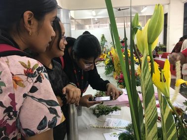 A Visit to Medicinal Plant Exhibition Show