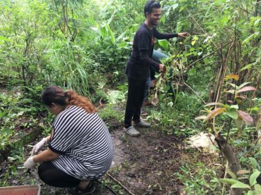 Volunteering at Earthen routes