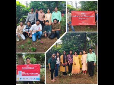 Tree Plantation Drive Activity